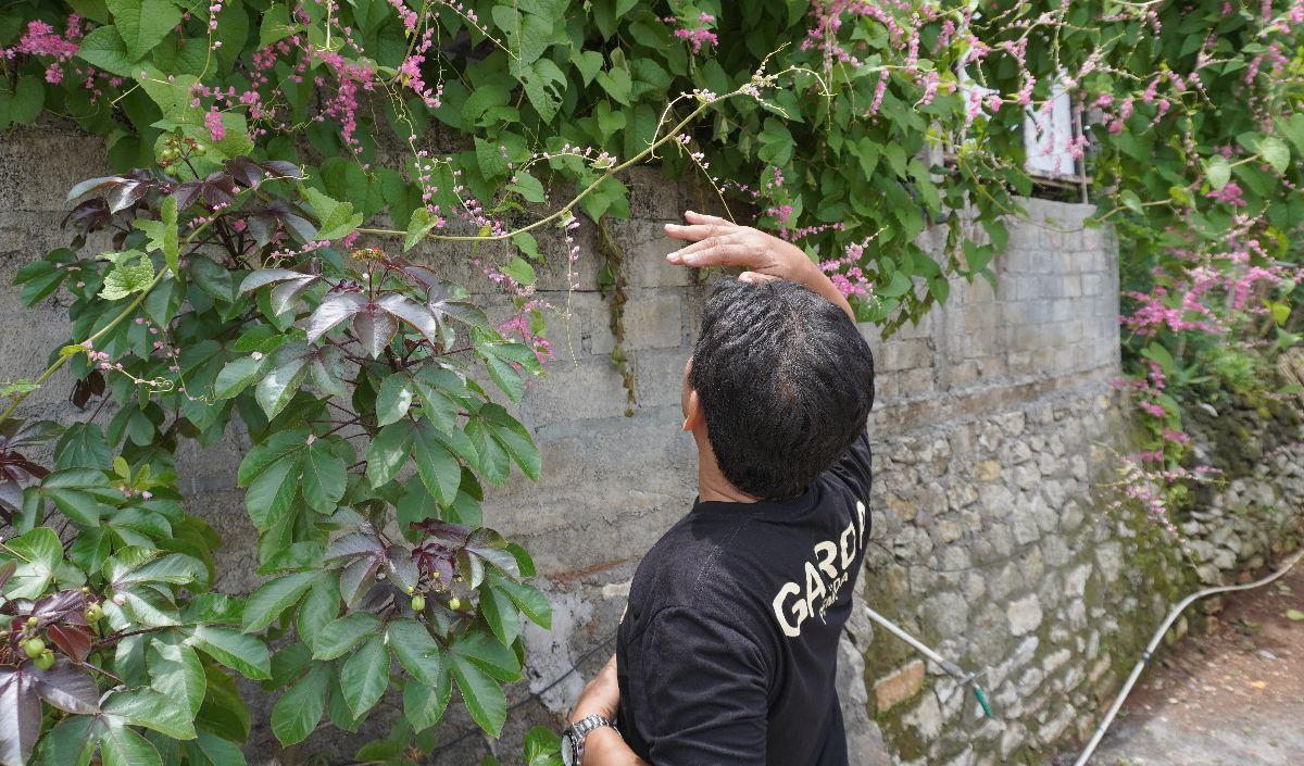 Sisipkan Upaya Penghijauan