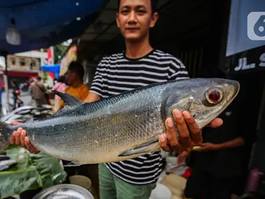 Pedagang menunjukkan ikan bandeng di kawasan Rawa Belong, Jakarta  Barat, Jumat  (9/2/2024). (Liputan6.com/Angga Yuniar)