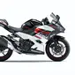 Ninja 250 (kawasaki-motor.co.id)