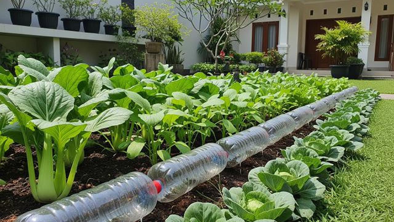 Botol Penyiram Bertekanan Rendah untuk Kebun Sayur/Ide Kebun di Halaman dengan Pengairan Otomatis dari Botol Bekas (Sumber: gemini.com)