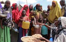 Somalia Dilanda Kelaparan Akut, Laporan PBB Ungkap 6,5 Juta Orang Terancam