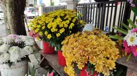 Berbagai jenis bunga dari Kota Tomohon yang dijual sejumlah pedagang dadakan di Kota Manado, Sulut.