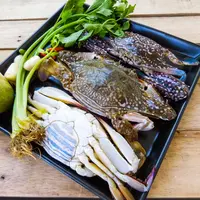 ilustrasi kepiting/copyright by GracePhotos Shutterstock