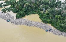 Kementerian Kehutanan Periksa Legalitas 1.085 Batang Kayu Bulat di Sungai Kapuas: Penegakan Hukum Terus Berjalan