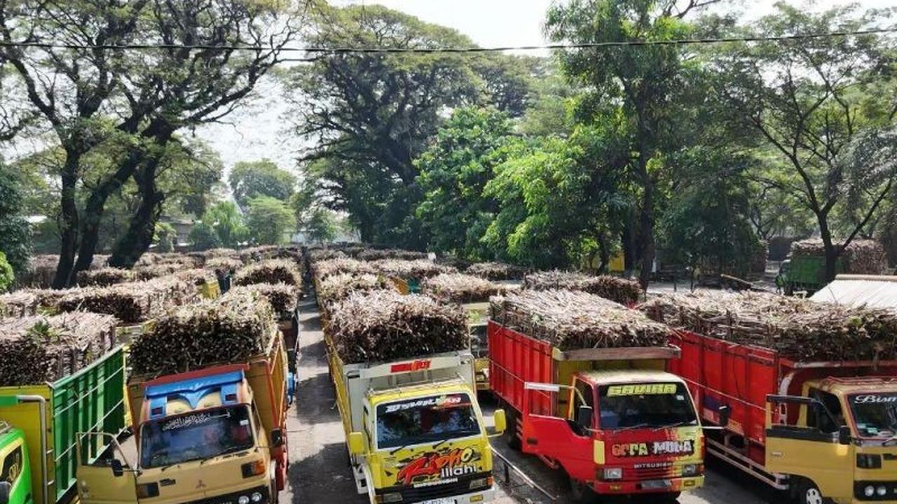 Hampir Sentuh Rekor 10 Juta Kuintal, PG Ngadirejo Giling Tebu 9 Juta Kuintal dalam 157 Hari!