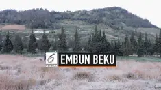 Suhu dingin menyelimuti dataran tinggi Dieng, Banjarnegara, Jawa Tengah. Bahkan suhu bisa mencapai minus 9 derajat Celsius. Akibatnya, embun es atau embun beku menutupi tanaman dan perkebunan warga.