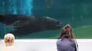 Pengunjung melihat singa laut di Taman Zoologi Paris, Bois de Vincennes, Paris, Prancis, Selasa (9/6/2020). Taman Zoologi Paris kembali dibuka setelah hampir tiga bulan tutup saat Prancis melonggarkan lockdown untuk mencegah penyebaran COVID-19. (Xinhua/Gao Jing)