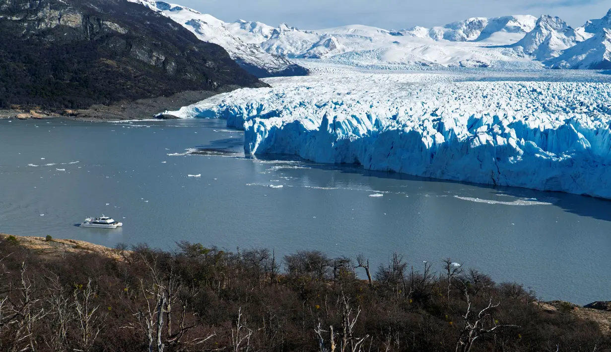 Gletser Perito Moreno memiliki panjang 30 kilometer, luasnya 5 kilometer, dan ketebalannya 170 meter. Secara keseluruhan, gletser ini memiliki luas 250 kilometer persegi. (Walter Diaz / AFP)