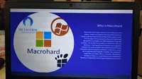 Elon Musk Bentuk Perusahaan Perangkat Lunak Macrohard, Siap Saingi Microsoft