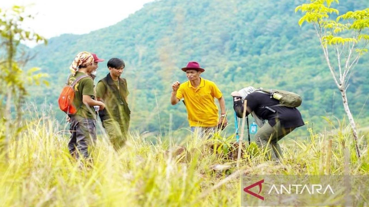 ULM Jadi Satu-satunya Universitas di Dunia Kelola Mangrove, Dukung Target FOLU Net Sink 2030 Kemenhut