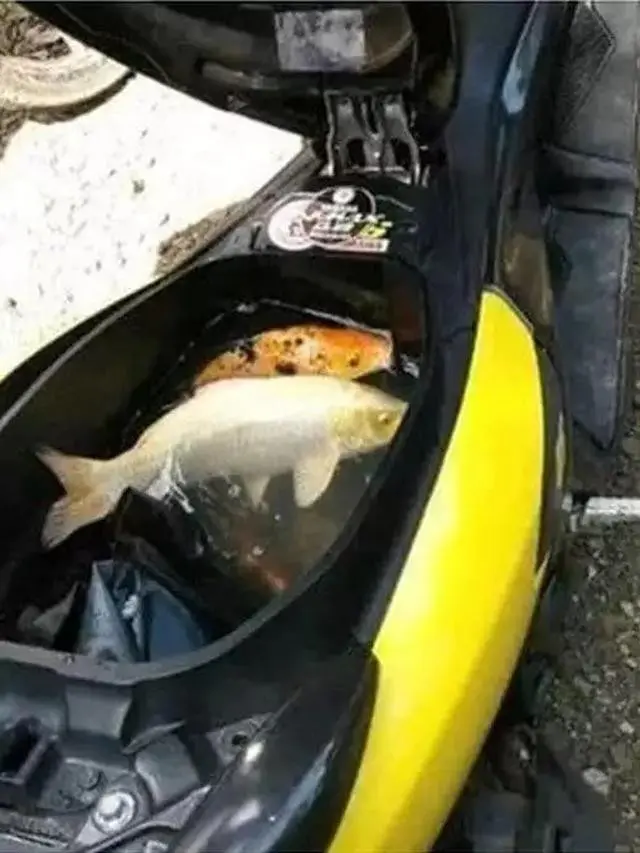 Jok motor diisi barang-barang nyeleneh (Ist)