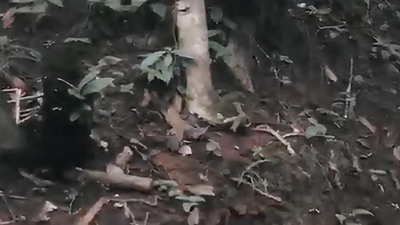 Melihat Peninggalan Masa Lampau di Situs Batu Panjang Panjalu Ciamis, Konon Penuh Misteri