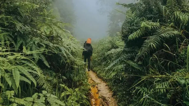 Jalan yang harus dilewati pendaki saat menjelajahi Gunung Badahara di Aceh