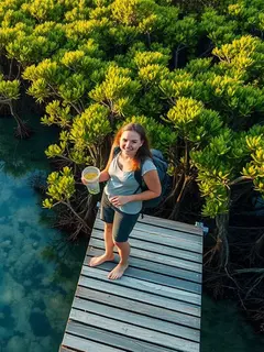 fungsi ekologis hutan mangrove ©Ilustrasi dibuat AI