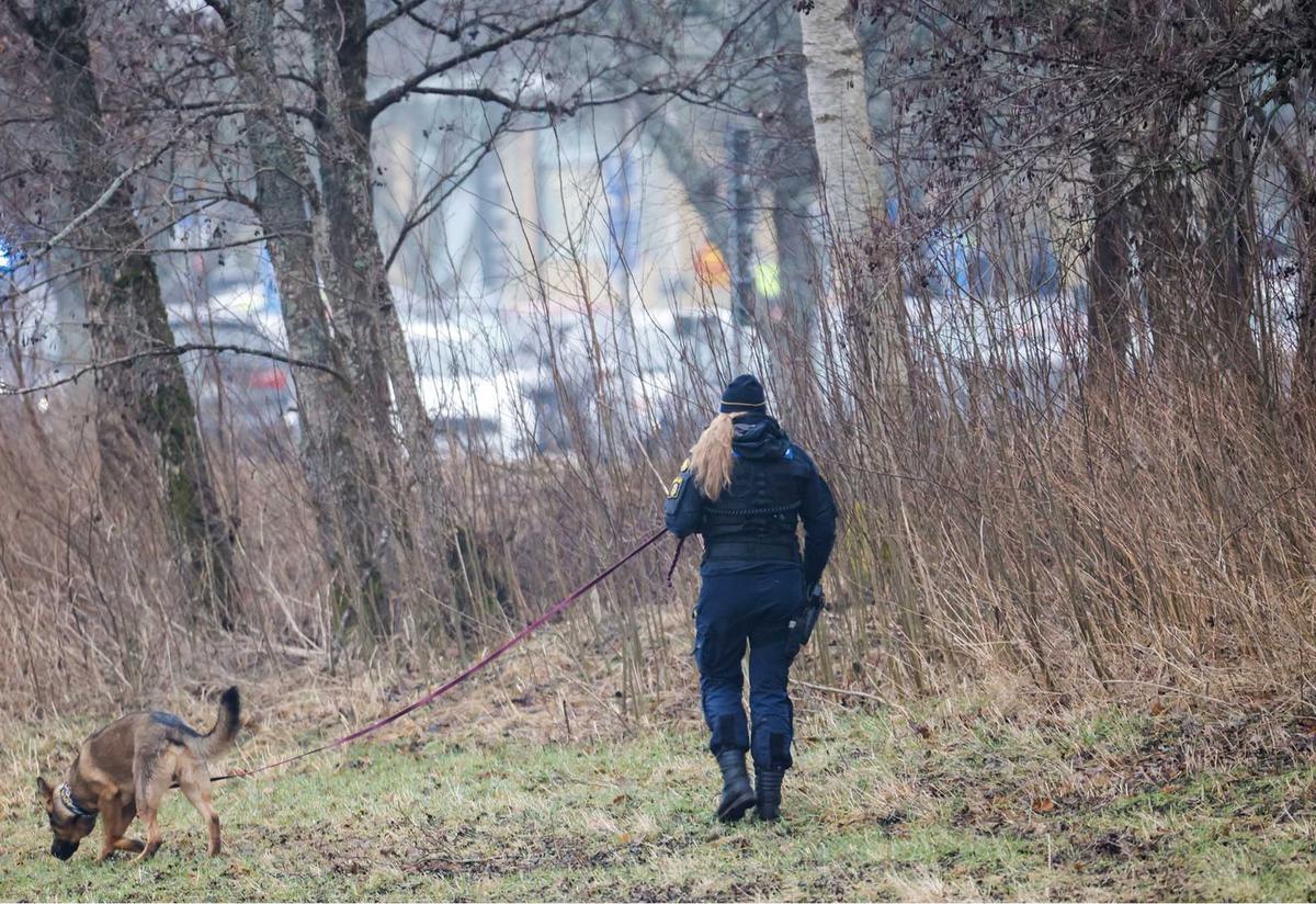 Penembakan Massal Kampus di Swedia
