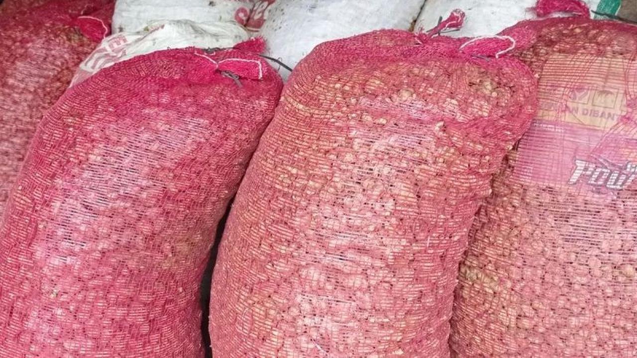 Petani Badui di Lebak Gembira, Harga Kencur Badui Melonjak Jadi Rp20 Ribu per Kg