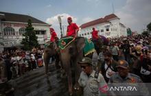 Keraton Yogyakarta Hentikan Partisipasi Gajah di Grebeg Syawal 2026, Patuhi Aturan Konservasi