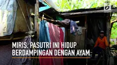 Pasangan suami-istri sudah 5 tahun tinggal berdampingan dengan kandang ayam.