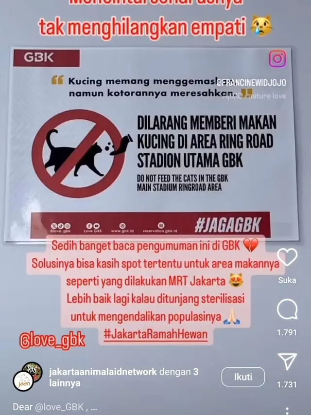 Video Viral, Petugas Pengendalian Hama di GBK Masukkan Kucing Dalam Plastik dan Begini Kejadian Sebenarnya (Foto: Tiktok @gravvsr)