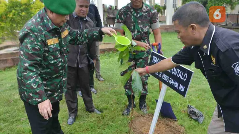 Wakil Gubernur Gorontalo H. Idris Rahim (kiri), menyirami pohon Malahengo (Arfandi/Liputan6.com)