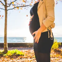 hamil | pexels.com/@negativespace