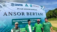 GP Ansor Jatim Kembangkan Pertanian Hortikultura untuk Dorong Ekonomi Lokal