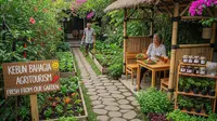 10 Usaha Cocok Untuk Pensiunan Hobi Berkebun yang Bisa Menghasilkan Uang, Produktif di Masa Tua
