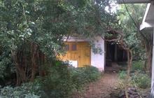 Bau busuk di rumah Elizabeth dikira bangkai binatang