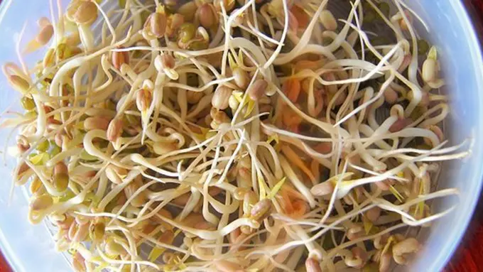 copyright pixabay.com/LoveToTakePhotos