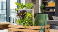 7 Ide Hampers Unik Isi Pot Kecil dan Bibit Sayur, Hadiah Personal, Edukatif, dan Berkesan