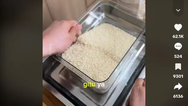 Bukan Daun Salam, Ini Trik Usir Kutu Beras dengan 1 Bahan Dapur