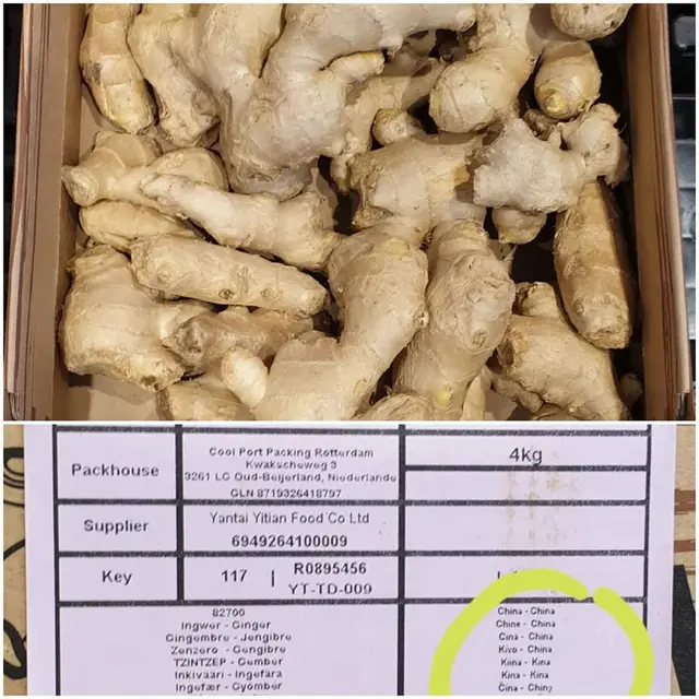 Akar Jahe di Supermarket Lidl, Belanda