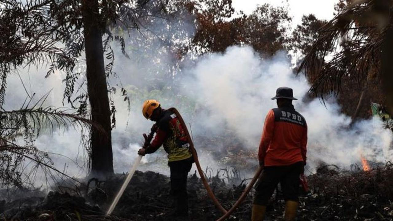 Asap Kebakaran Hutan Kepung Pontianak Diprediksi hingga September
