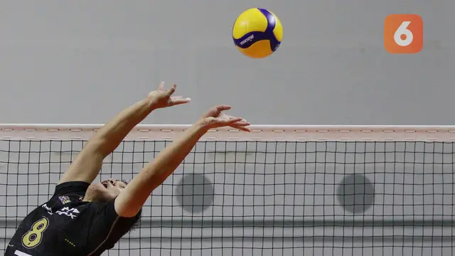 Foto: Jakarta Pertamina Pertamax Juara Putaran Pertama PLN Mobile Proliga 2022 usai Tekuk Surabaya Bhayangkara Samator di Laga Pamungkas