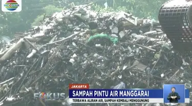 Sampah didominasi sampah rumah tangga dan sampah alam yang terbawa aliran Sungai Ciliwung.