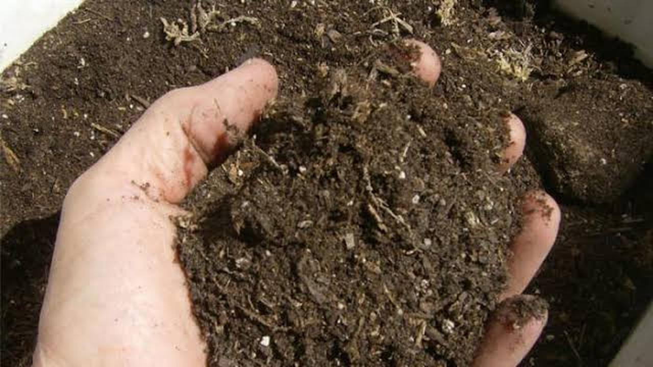 Ilustrasi Pupuk Organik (Istimewa)