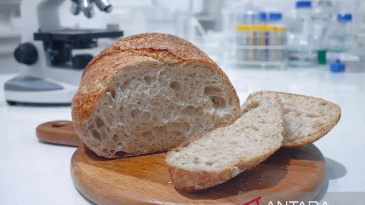 BRIN Kembangkan Inovasi Sourdough Beras Lokal Gunungkidul yang Kaya Nutrisi