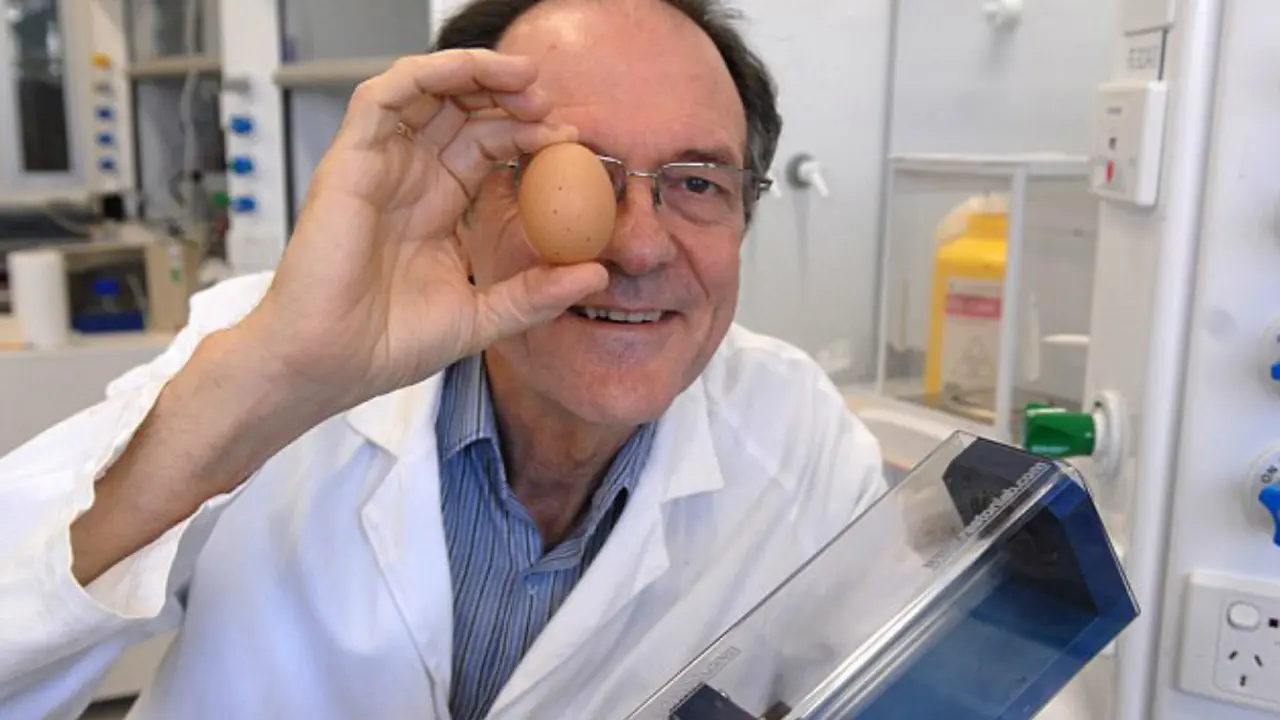 Ubah Telur Matang Jadi Mentah, Profesor Raih Nobel Parodi