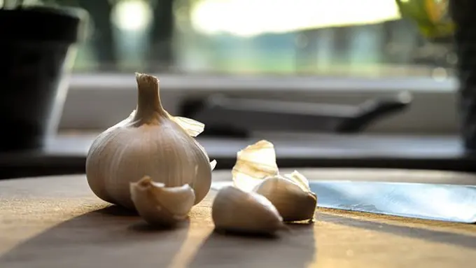 Copyright: pexels.com/skitterphoto