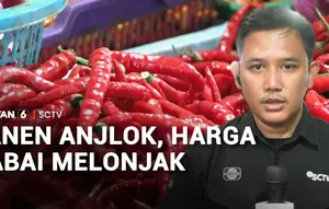 Panen Anjlok, Harga Cabai Melonjak