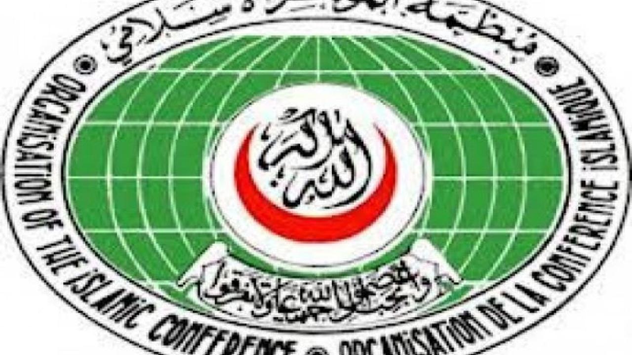 Kecaman OKI Israel Somaliland: 22 Negara Islam Tolak Pelanggaran Kedaulatan Somalia