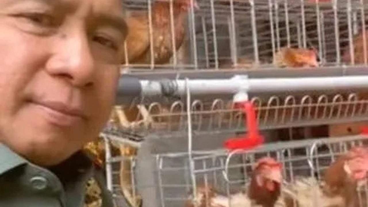 Panglima TNI Beternak Ayam