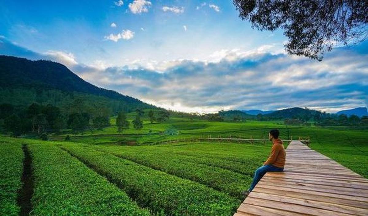 <b>Menikmati Pemandangan di Udara Segar </b>