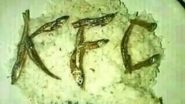 6 Kreasi Makanan Bentuk Pola Huruf Ini Kocak, Aktivitas Gabut ketika Makan