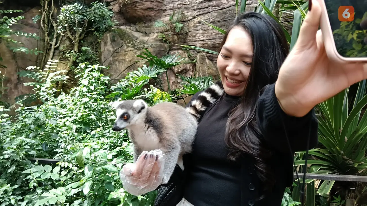 Bercengkerama dengan Lemur dan Kawan-kawannya di Batu Secret Zoo, Sekalian Belajar soal Konservasi