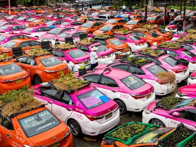 Kebun sayur terlihat di bagian atap taksi-taksi yang terbengkalai di pool taksi di Bangkok, Thailand, Rabu (15/9/2021). Pemilik perusahaan taksi membiarkan karyawannya menggunakan taksi-taksi yang tidak beroperasi itu untuk bercocok tanam guna memenuhi kebutuhan sehari-hari mereka. (Jack TAYLOR/AFP)