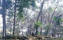 Tempat Suci Berusia Ribuan Tahun di Kaki Gunung Salak, Tak Jauh dari Bogor