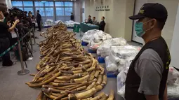 Bea Cukai Hong Kong mengelar konferensi pers terkait penyitaan kargo berisi gading seberat 7,2 ton di Hong Kong, Kamis (6/7). Ini merupakan penyitaan terbesar di Hong Kong dalam tiga dekade terakhir. (AP Photo/Kin Cheung)