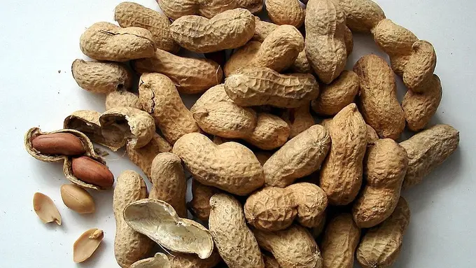 Cara Praktis Kukus Kacang Tanah yang Ternyata Lebih Enak dan Empuk