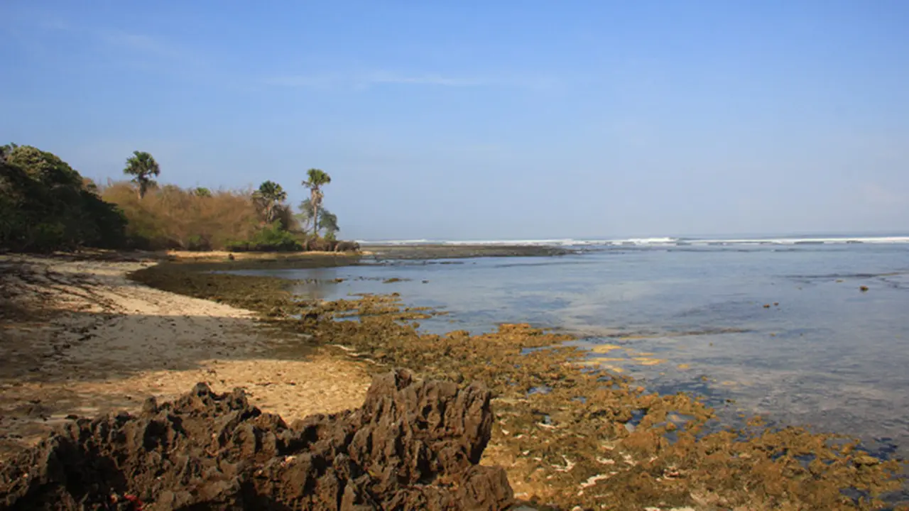 Pantai Plengkung